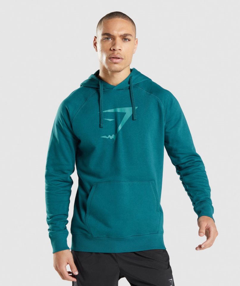 Men\'s Gymshark Sharkhead Infill Hoodie Turquoise | CA 5N3A06